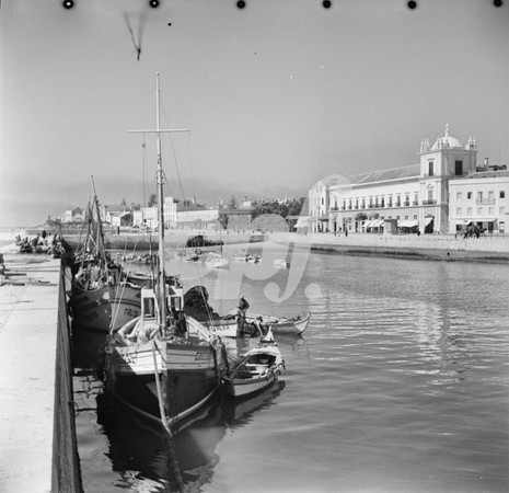 [Figueira da Foz: Estuário do Mondego]