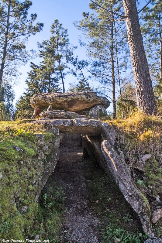 Anta da Cerqueira - Portugal 🇵🇹 (54243518977).jpg