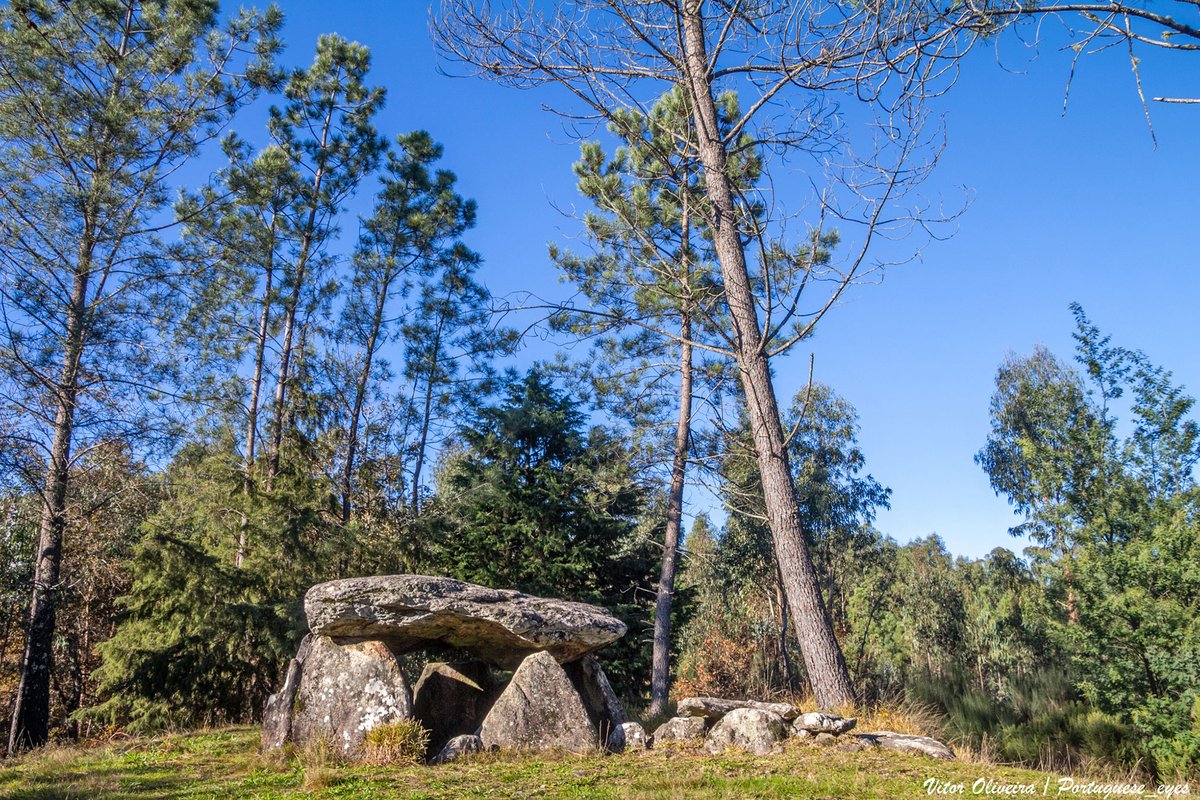 Anta da Cerqueira - Portugal 🇵🇹 (54243519037).jpg