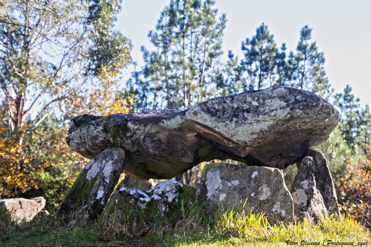 Anta da Cerqueira - Portugal 🇵🇹 (54244653828).jpg