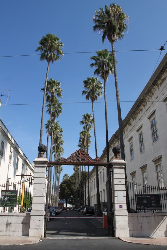 Antiga Escola Politécnica 8038.jpg