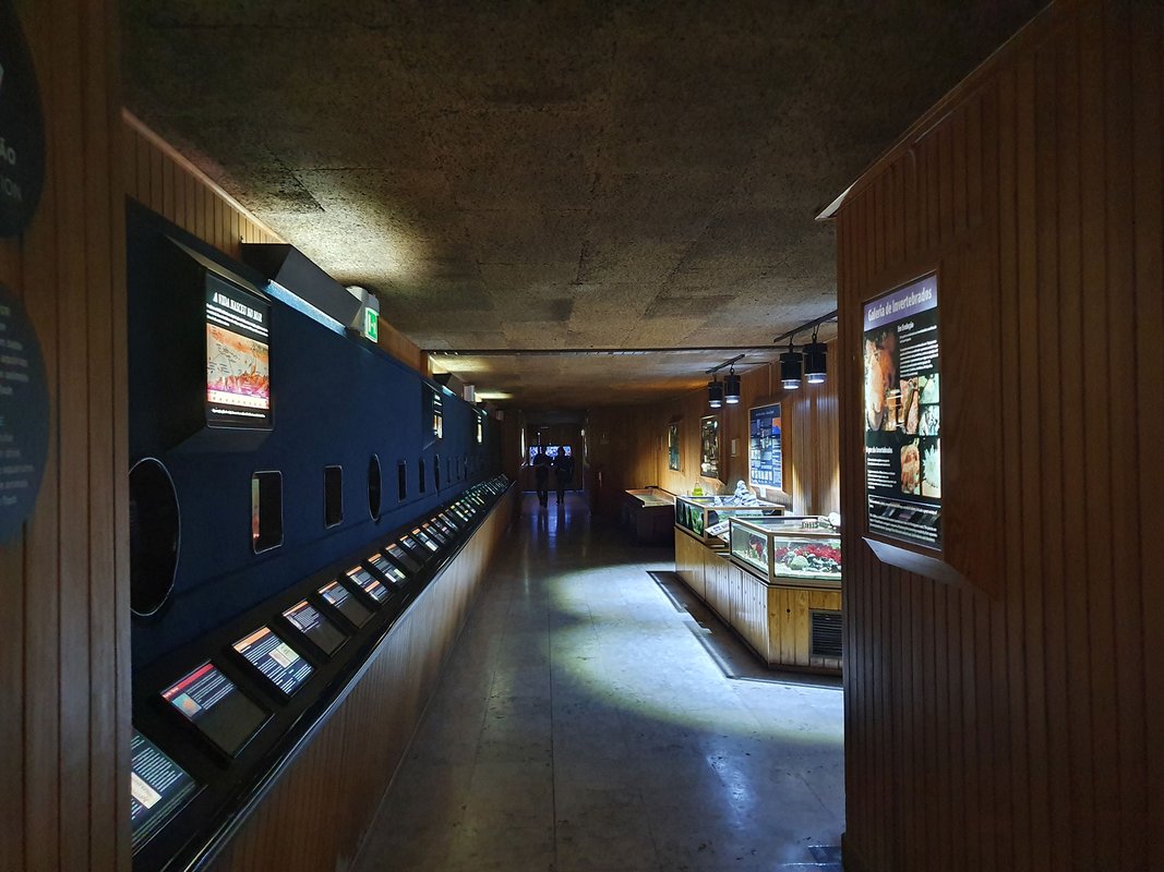 Aquário Vasco da Gama - Ala Inicial.jpg