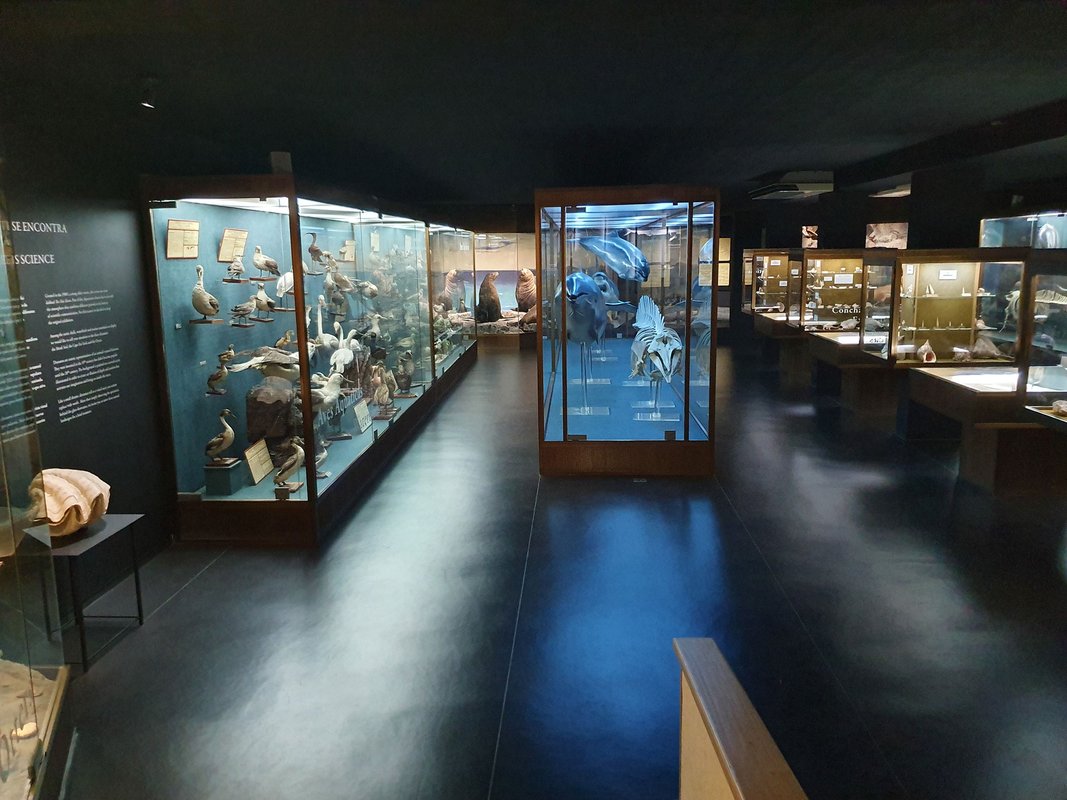 Aquário Vasco da Gama - Museu.jpg