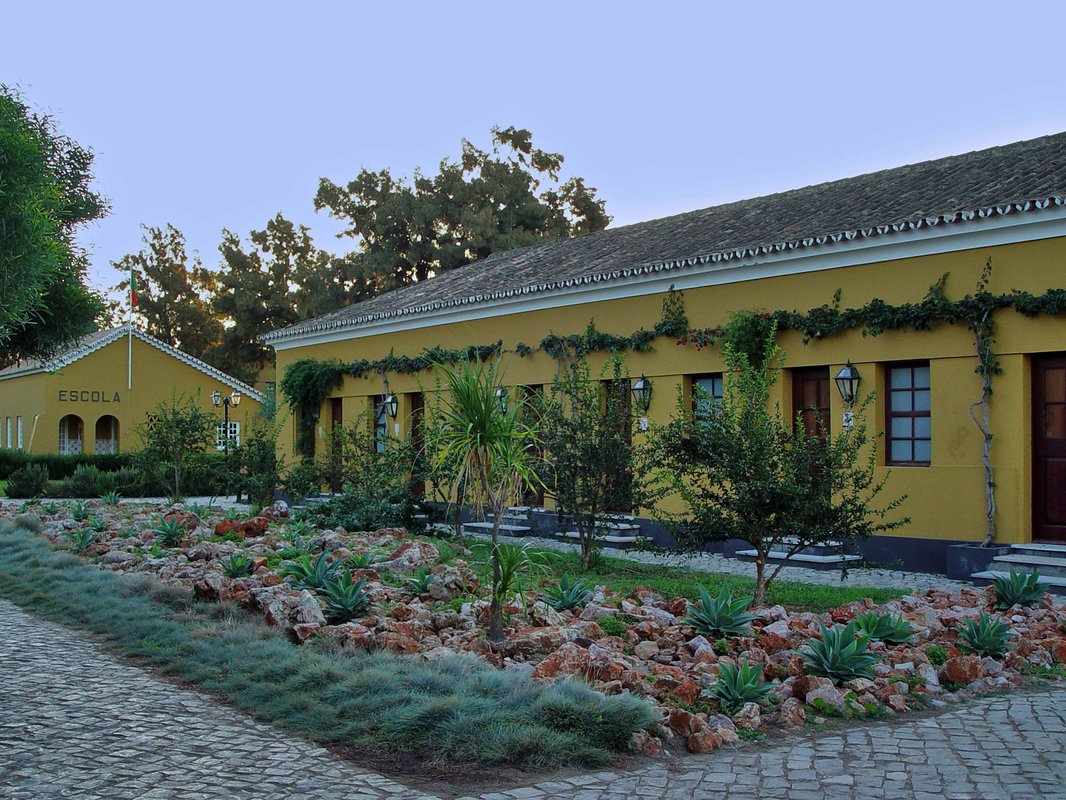 Arraial Ferreira Neto 005.jpg