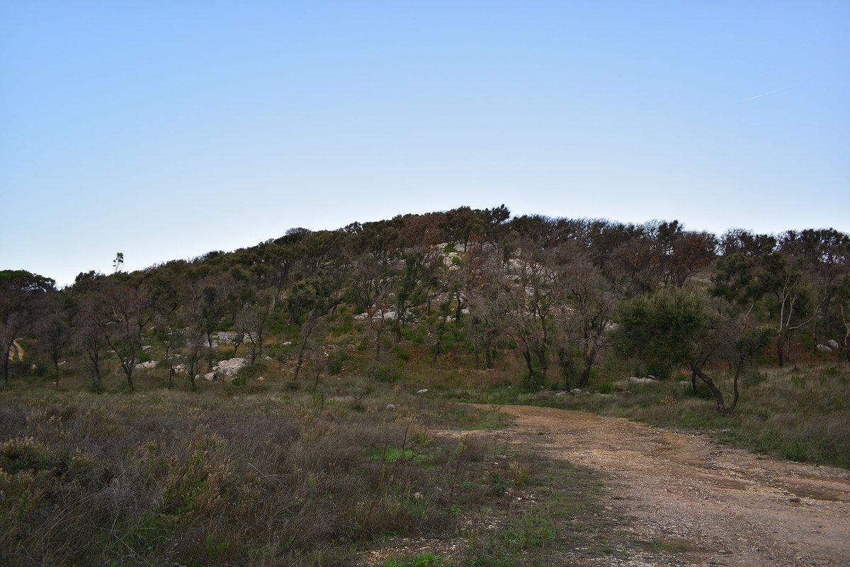 Castelo de Alferce 17 - Monchique - 08.11.2019.jpg