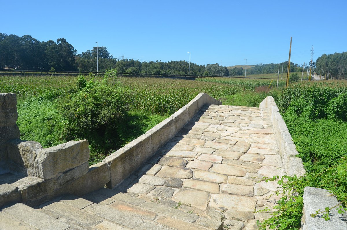 DSC 0125 (49846961178).jpg