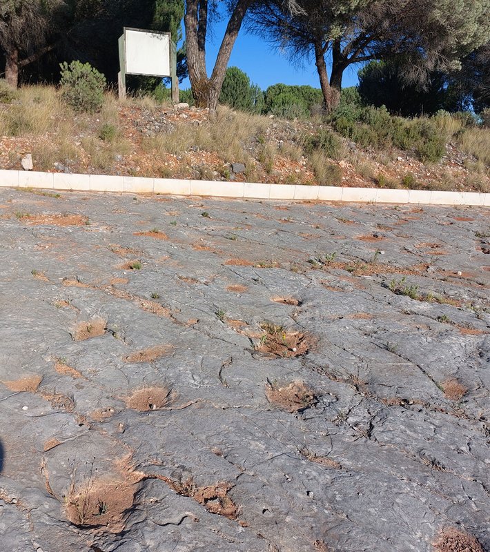 Jazidas com pegadas de dinossáurios terópodes sitas em Vale de Meios e Algar dos Potes 24.jpg