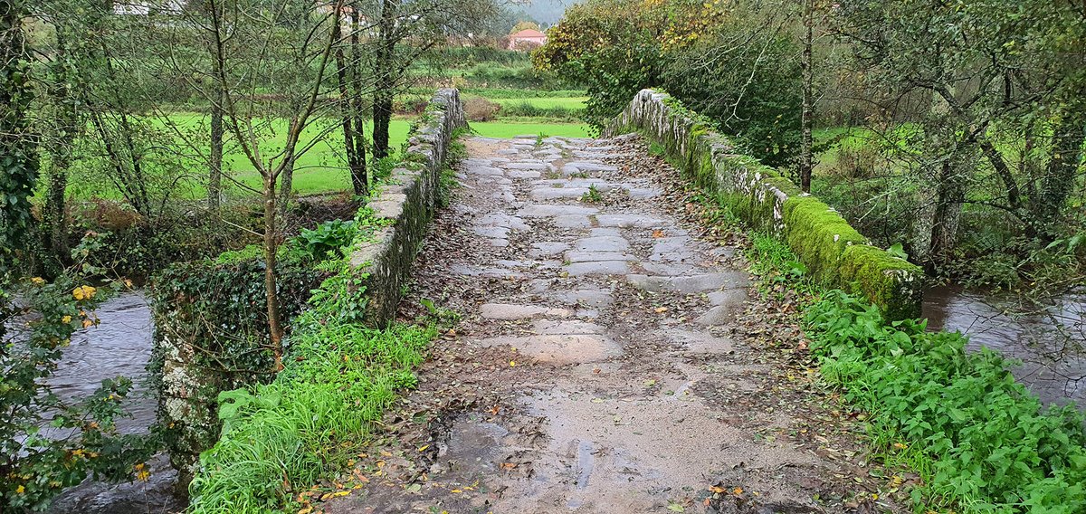 Ponte romano-medieval de Rubiães (4).jpg