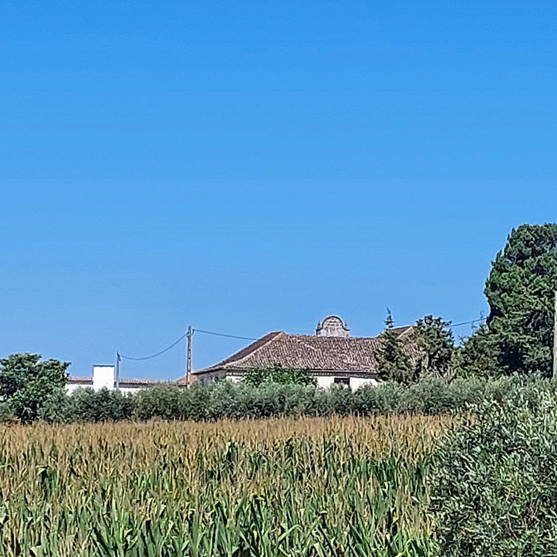 Vista distante para Quinta de São Tomé entre Soure e Vila Nova de Anços 05.jpg