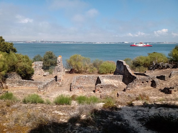 Another View of the Residential Area (51528570550).jpg