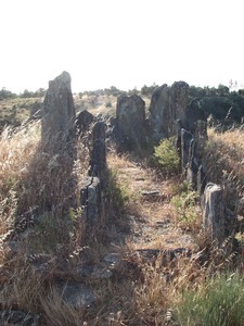 Anta da foz do rio Frio