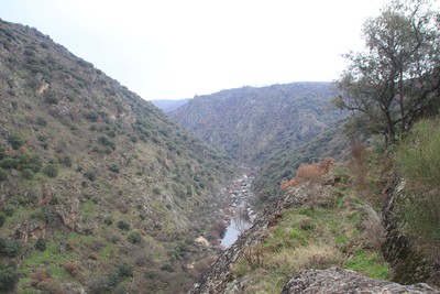 Conjunto dos Sítios Arqueológicos no Vale do Rio Côa