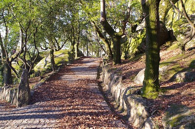Estação arqueológica da Penha