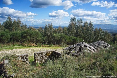 Castro da Cárcoda