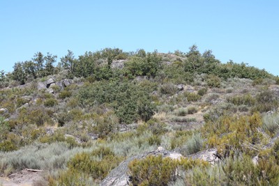 Castro da Lama de Ouriço