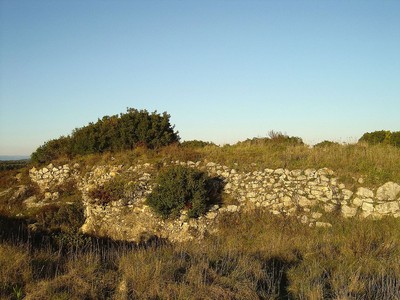 Castro de Vila Nova de São Pedro