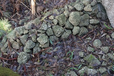 Castro de Monte Redondo