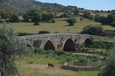 Ponte sobre o Rio Ponsul