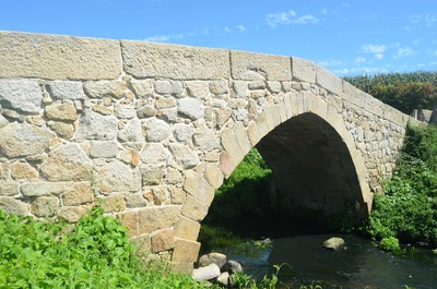 Ponte Românica de Dom Goimil