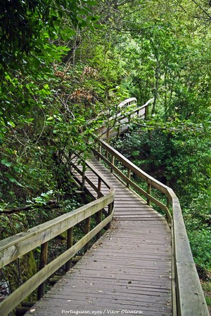 Ecovia do Vez - Portugal (49803545537).jpg