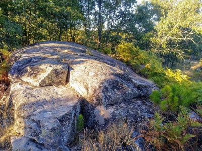 Estação rupestre de Outeiro Machado