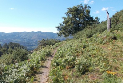 Via Romana XVIII (Geira)