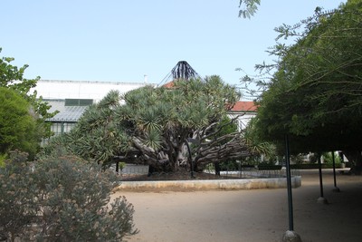 Zona circundante do Palácio Nacional da Ajuda