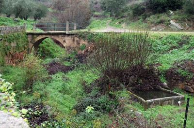 Ponte Romana de Longroiva