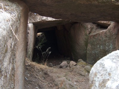 Anta da Lameira do Fojo