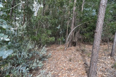 Mamoa da Quinta da Laje