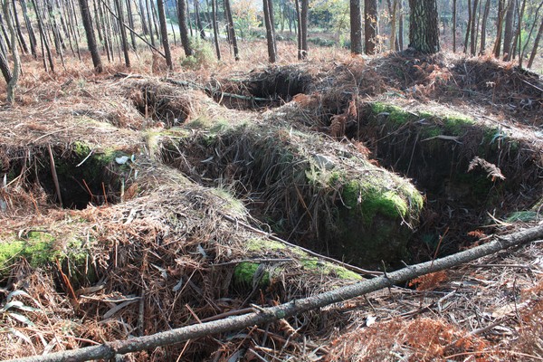 Mamoa de Aspra - 15.jpg