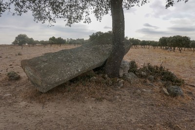 Menires da Herdade da Casbarra