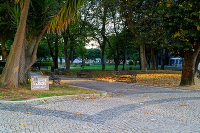 Parque Delfim Guimarães