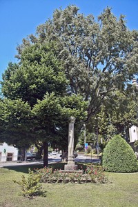 Pelourinho de Oliveira do Hospital