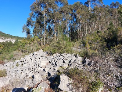 Pedreira Histórica do Caramulo