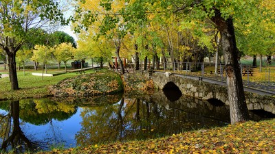 Ponte antiga de pedra sobre a Ribeira da Venda