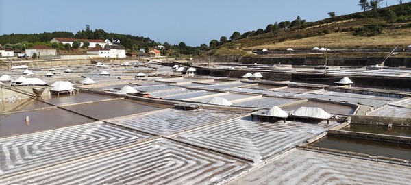 Salinas de Fonte da Bica ou marinhas de sal de Rio Maior.jpg