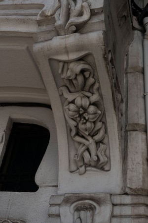 Saraiva carvalho0004.jpg