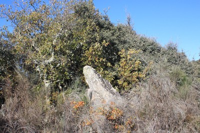 Terronha de Pinhovelo