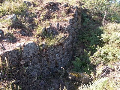 Citânia de São Julião de Caldelas