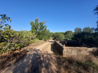 Ponte romana de Alferrarede