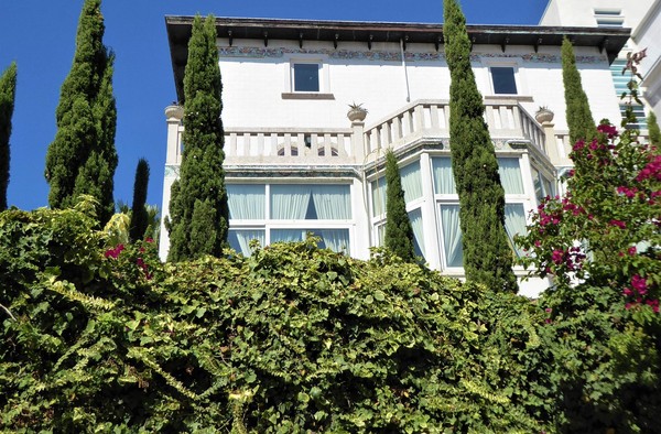 Vista parcial da casa.jpg