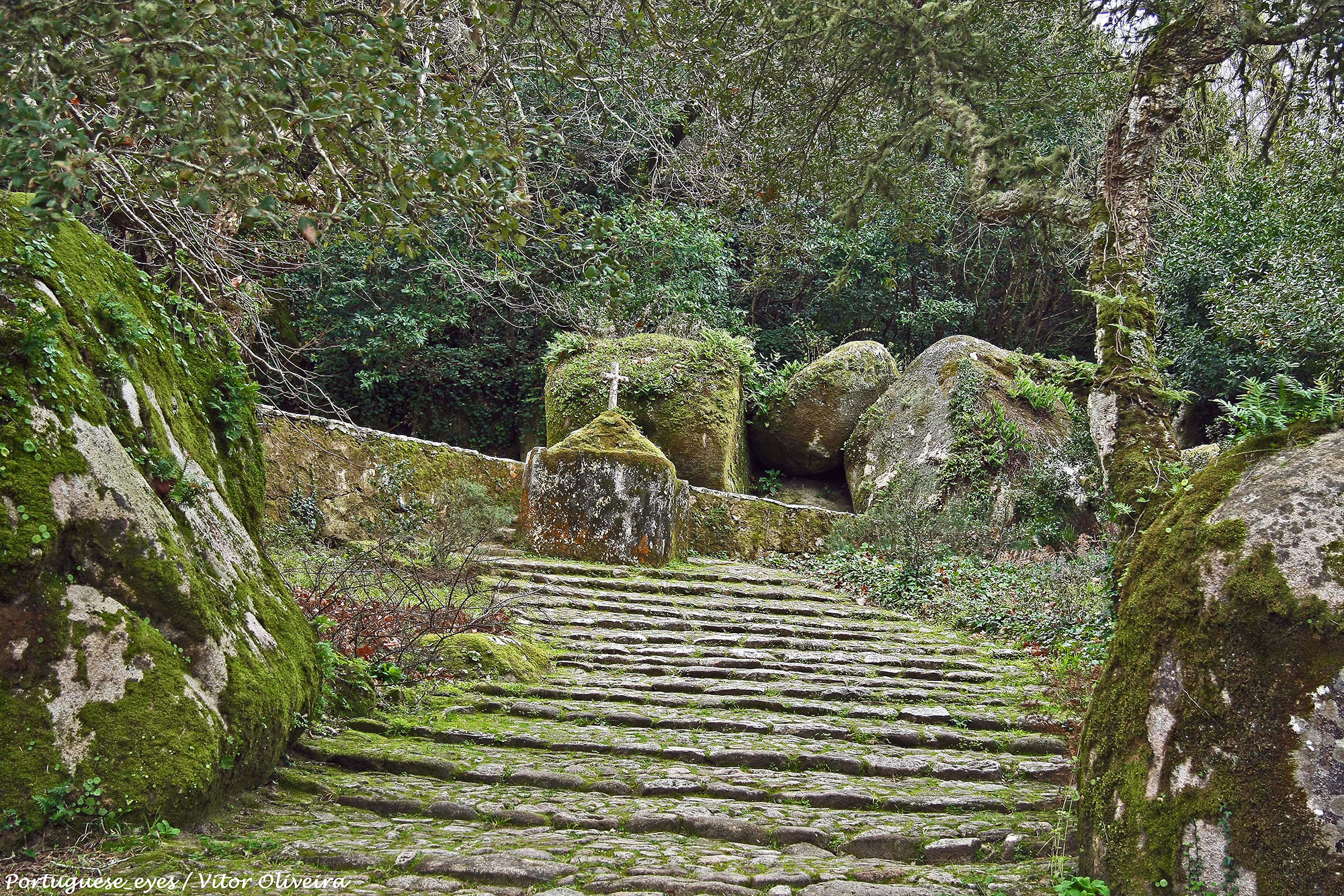 Convento dos Capuchos - Sintra - Portugal (40311466972).jpg