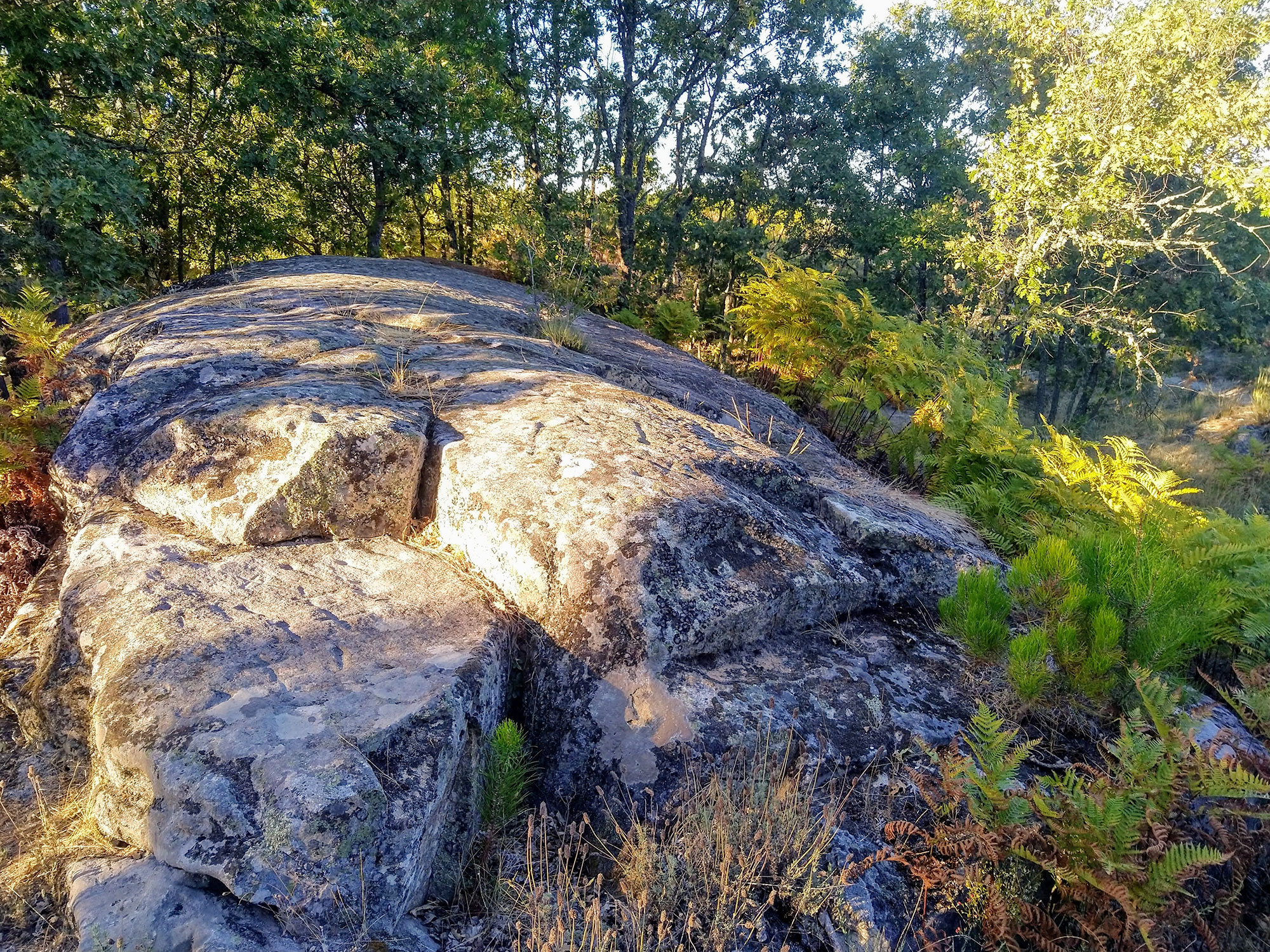 Estação rupestre de Outeiro Machado 1.jpg