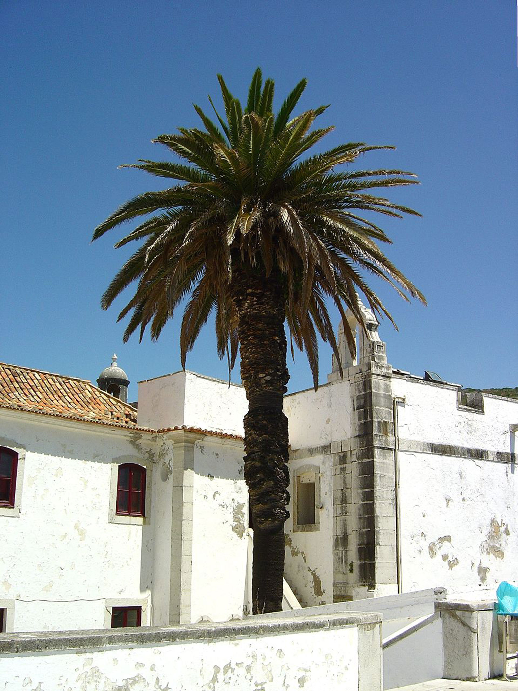 Fortaleza de Santiago - Sesimbra - Portugal (2630924775).jpg