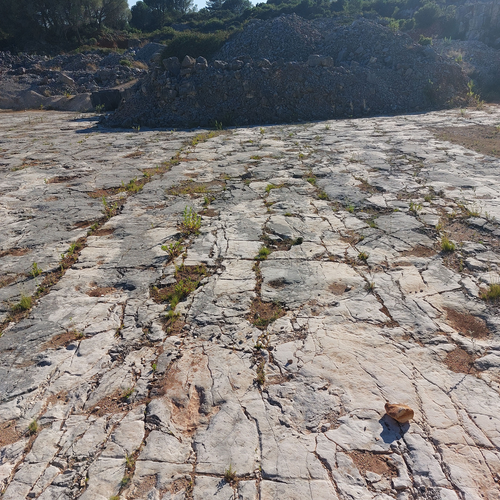 Jazidas com pegadas de dinossáurios terópodes sitas em Vale de Meios e Algar dos Potes 15.jpg