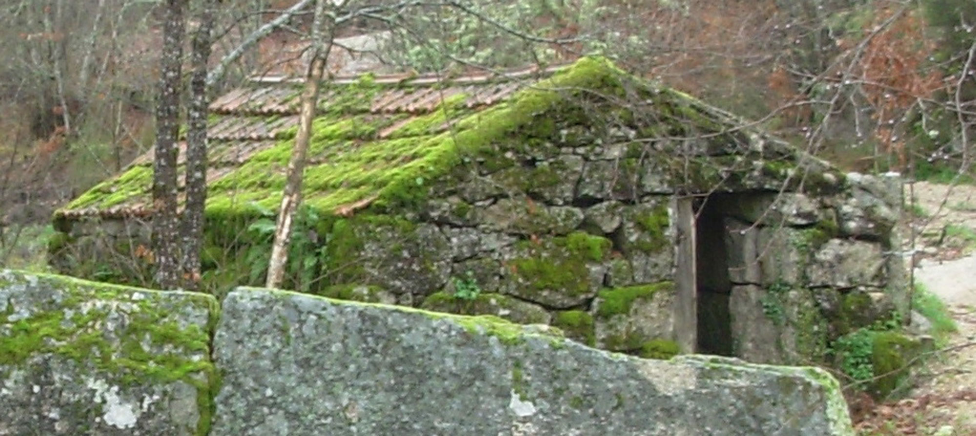 Moinho de Assureira (4279562637) (cropped).jpg