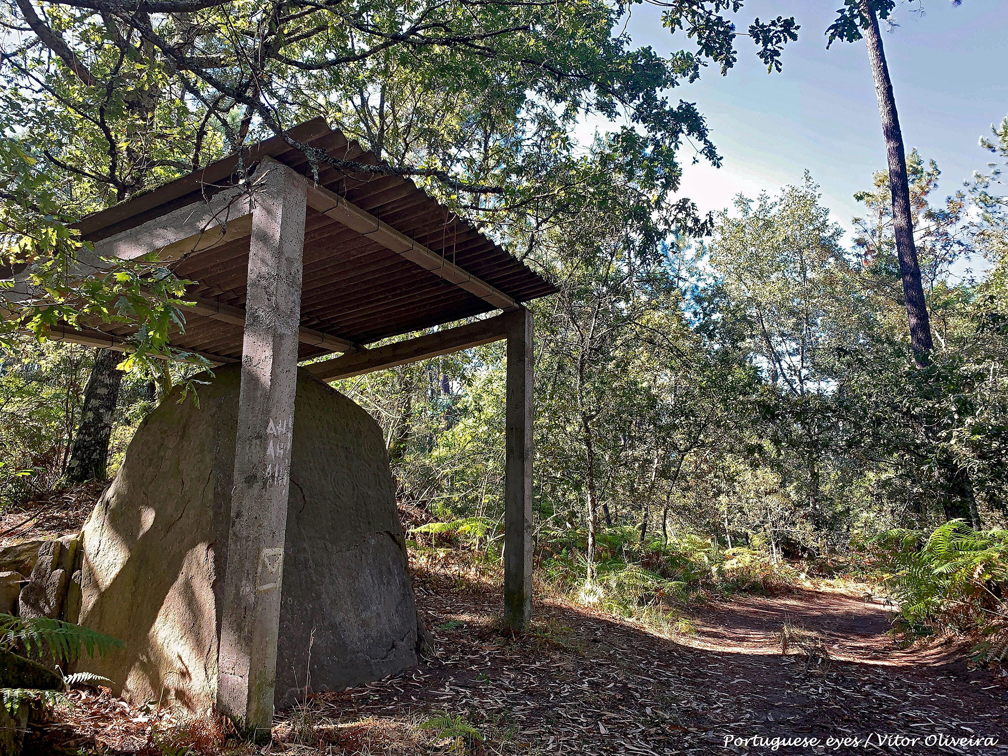 Pedra Escrita de Serrazes - Portugal (50749742423).jpg